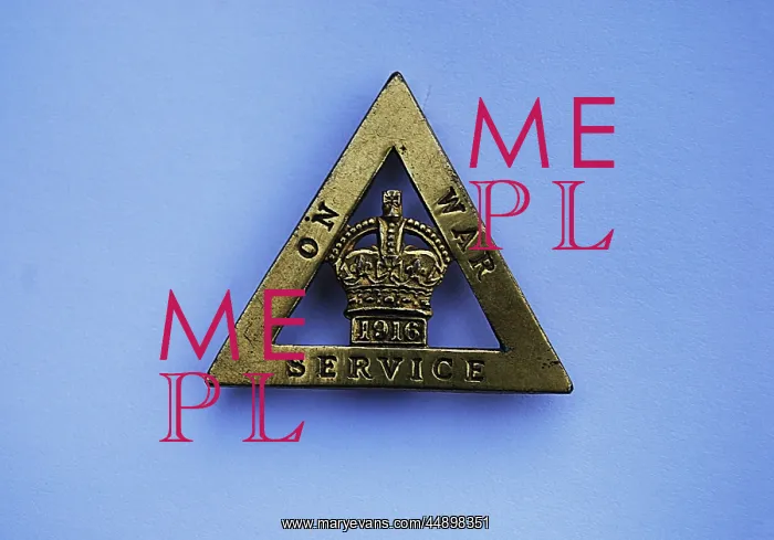 : Women WW1 Munitions Worker Badge : Women WW1 Munitions Worker Badge