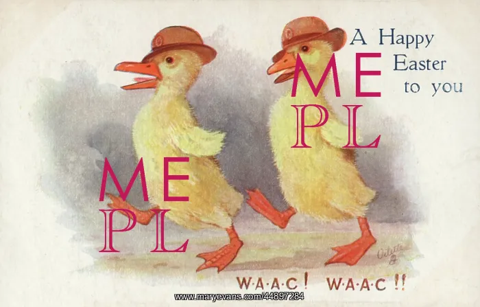 : Women WW1 WAAC : Women WW1 WAAC