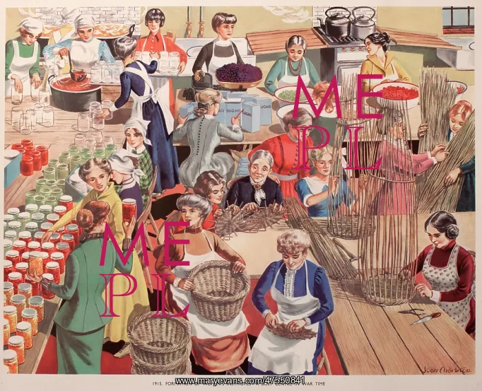 : Women's Institute activities during the First World War : Women's Institute activities during the First World War
