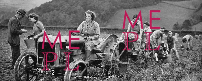: Women's Land Army 1939 : Women's Land Army 1939
