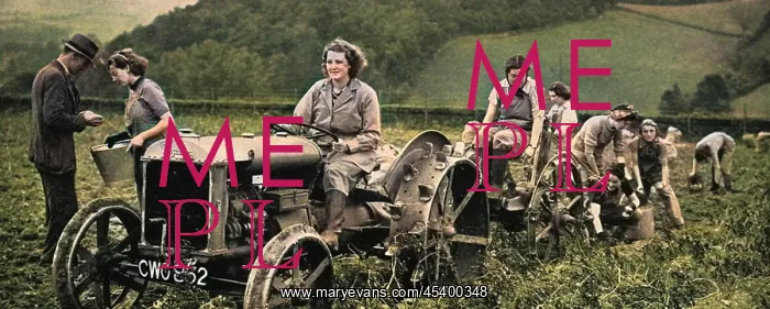 : Women's Land Army in action, 1939 : Women's Land Army in action, 1939