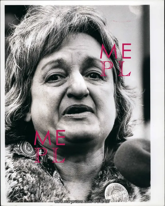 : Women's Movement - Rights : Women's Movement - Rights