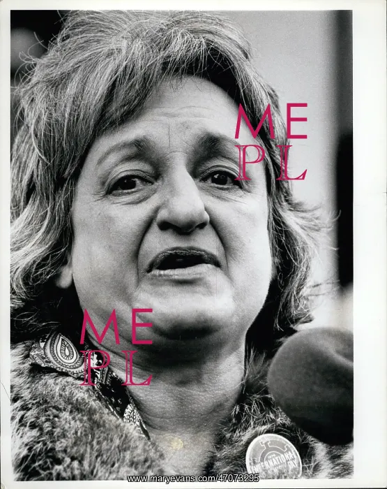 : Women's Movement - Rights : Women's Movement - Rights