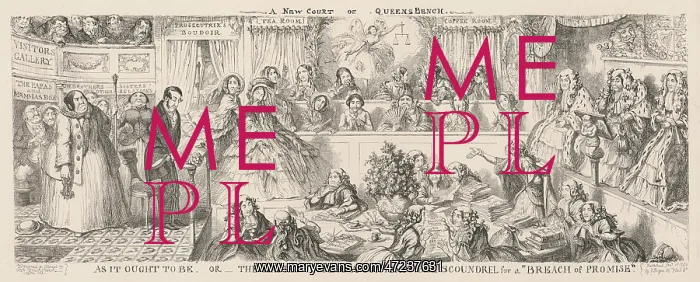 : WOMEN'S RIGHTS / SATIRE : WOMEN'S RIGHTS / SATIRE