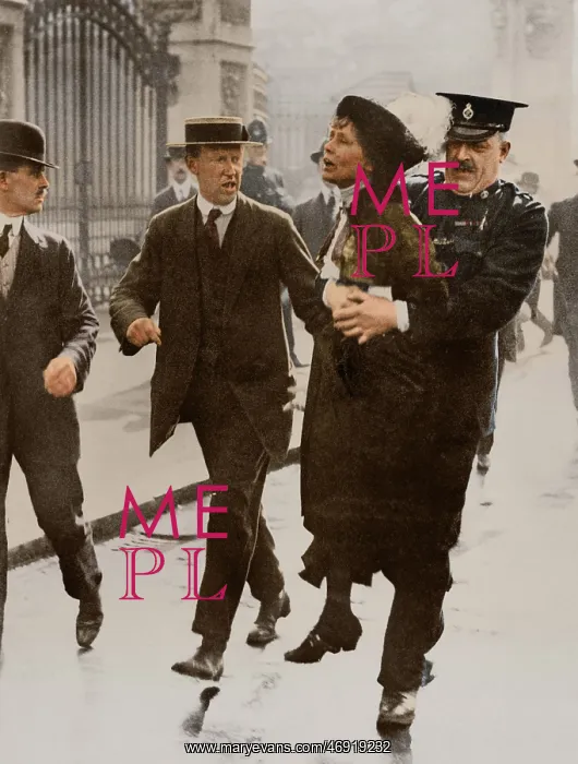 : Women's Suffrage in Colour : Women's Suffrage in Colour