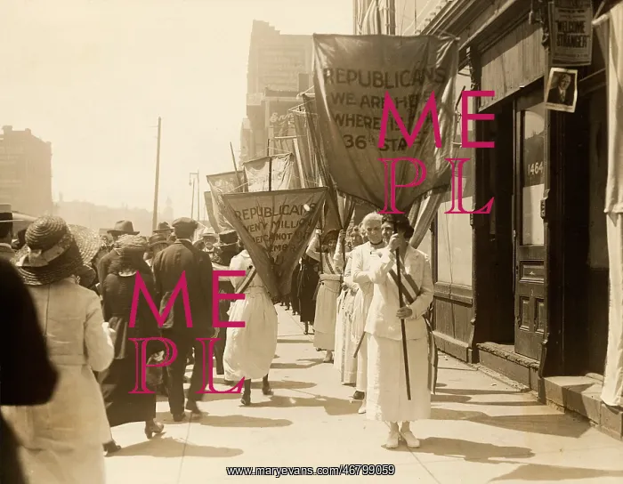  : women's suffrage - voting rights - Rep. National Convention