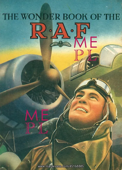 : The Wonder Book Of The R.A.F : The Wonder Book Of The R.A.F