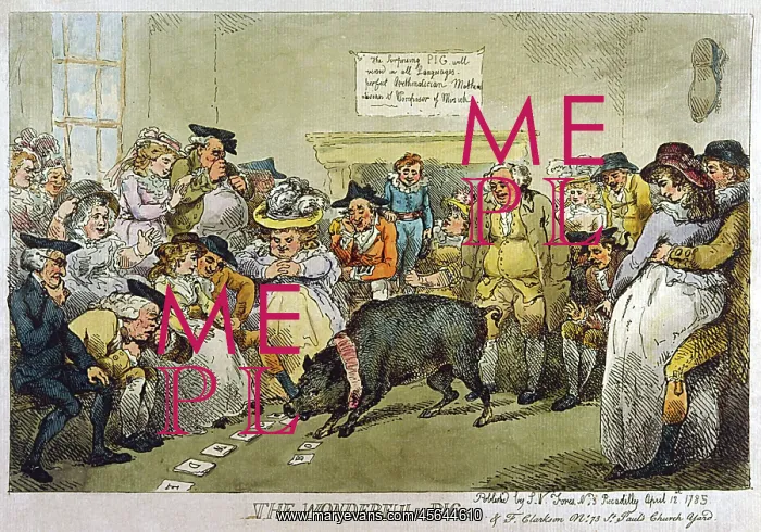 : WONDERFUL LEARNED PIG : WONDERFUL LEARNED PIG