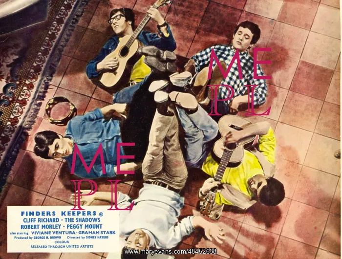 : WONDERFUL LIFE : WONDERFUL LIFE