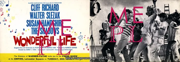 : WONDERFUL LIFE : WONDERFUL LIFE