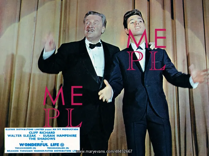 : WONDERFUL LIFE : WONDERFUL LIFE