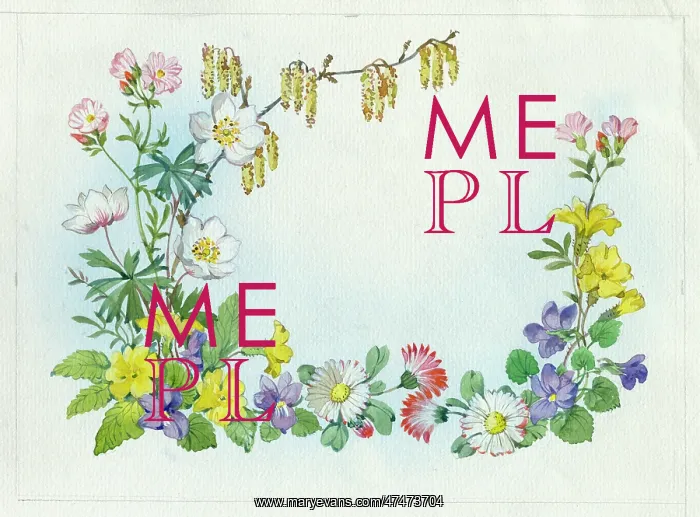 : Wood anemones, daisies, violets, periwinkles and lambs tails : Wood anemones, daisies, violets, periwinkles and lambs tails