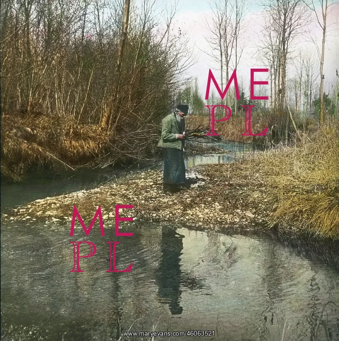: Wood gatherers in the Danube Meadow : Wood gatherers in the Danube Meadow