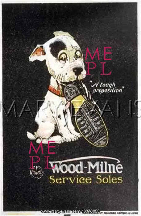 : WOOD-MLNE SOLES ADVERT : WOOD-MLNE SOLES ADVERT