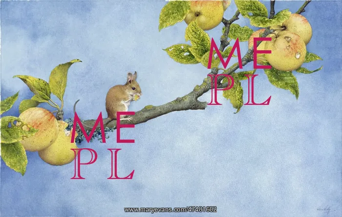: Wood Mouse and Apples ' mouse on branch : Wood Mouse and Apples ' mouse on branch