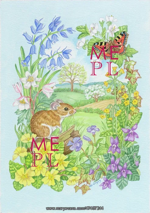: Wood Mouse, Primroses, Bluebells, Violets, etc : Wood Mouse, Primroses, Bluebells, Violets, etc