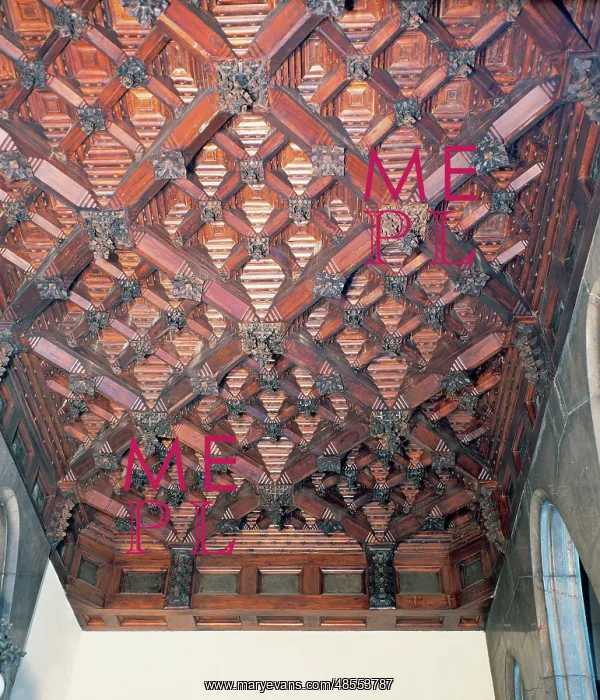 : Wood paneling ceiling of Guell Palace. By Antoni Gaudi (1852 : Wood paneling ceiling of Guell Palace. By Antoni Gaudi (1852