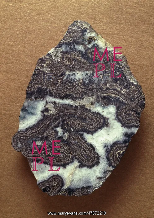 : Wood tin, variety of cassiterite : Wood tin, variety of cassiterite