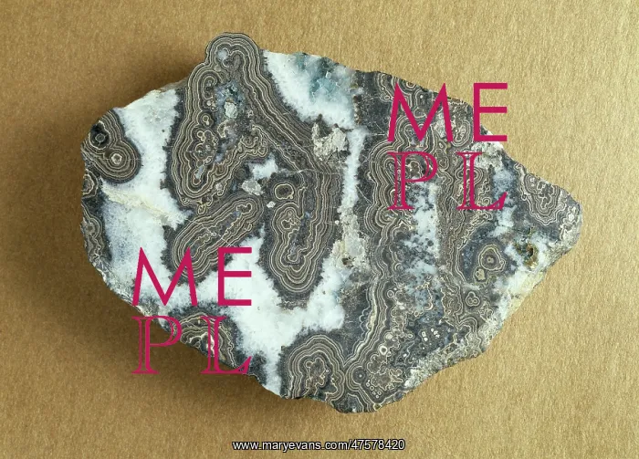 : Wood tin, variety of cassiterite : Wood tin, variety of cassiterite