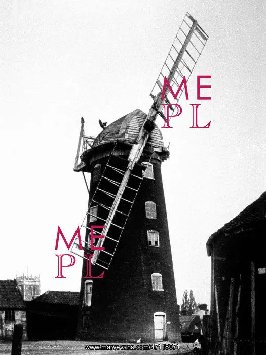  : Woodbridge Windmill early 1900s