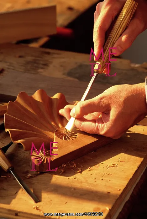 : Woodcarver's Hands and Carving a Decorative Clam Shell : Woodcarver's Hands and Carving a Decorative Clam Shell
