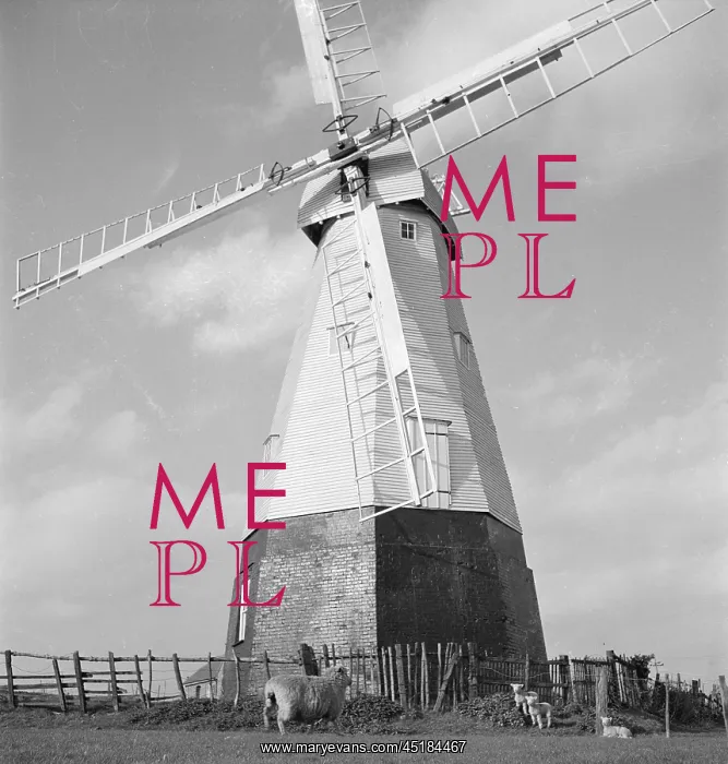 : Woodchurch Windmill : Woodchurch Windmill
