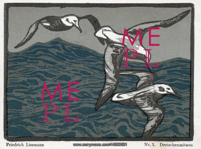 : Woodcut: Three birds over waves : Woodcut: Three birds over waves