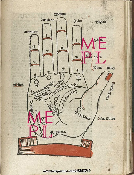 : Woodcut of a hand with palmist markings ? : Woodcut of a hand with palmist markings ?