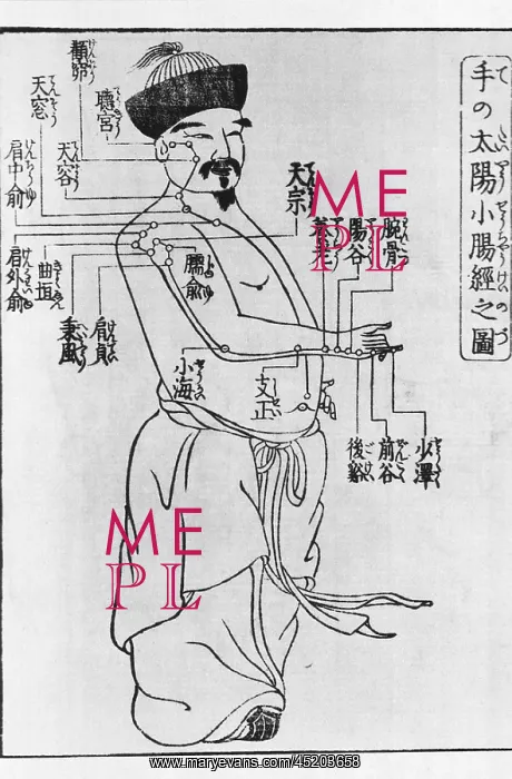 : Woodcut illustrating acupuncture points ?