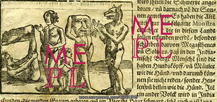  : Woodcut of Indian manlike monsters