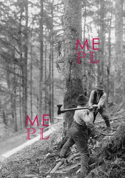 : Woodcutter, 1913 : Woodcutter, 1913