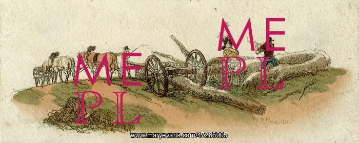 : WOODCUTTERS CHOP LOGS : WOODCUTTERS CHOP LOGS