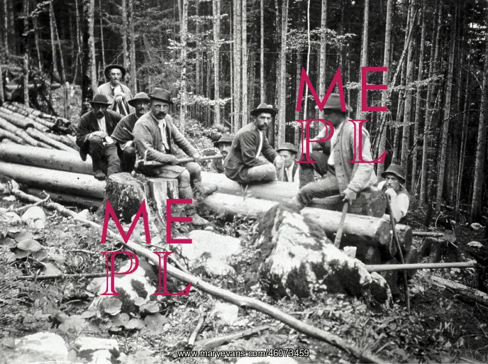 : Woodcutters in the forest during a break. about 1910 : Woodcutters in the forest during a break. about 1910