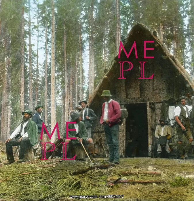 : Woodcutter's lodge : Woodcutter's lodge