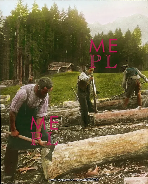 : Woodcutters are lopping off and barking the logs : Woodcutters are lopping off and barking the logs