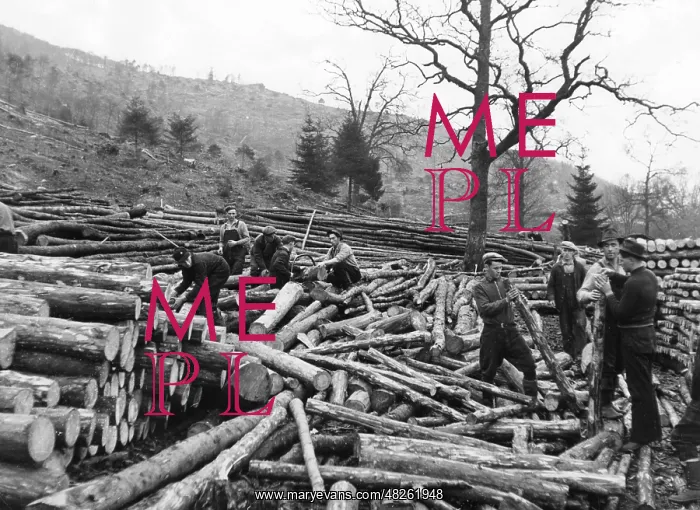 : Woodcutters in Scotland, 1940s : Woodcutters in Scotland, 1940s