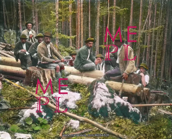 : Woodcutters taking a break : Woodcutters taking a break