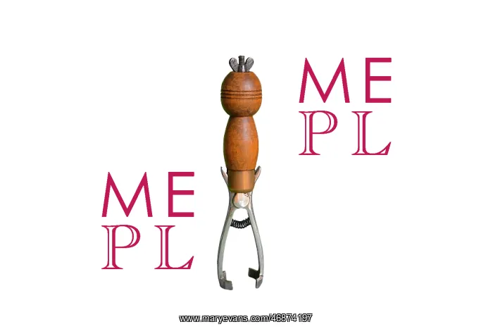 : Wooden-handled corkscrew : Wooden-handled corkscrew