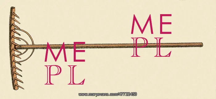  : Wooden Rake