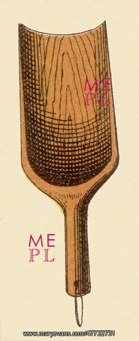  : Wooden Scoop