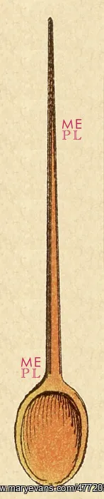 : Wooden Spoon : Wooden Spoon