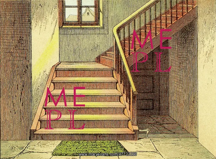 : Wooden Stairs : Wooden Stairs