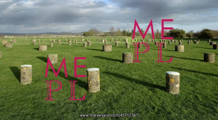 : Woodhenge, Wiltshire, England : Woodhenge, Wiltshire, England