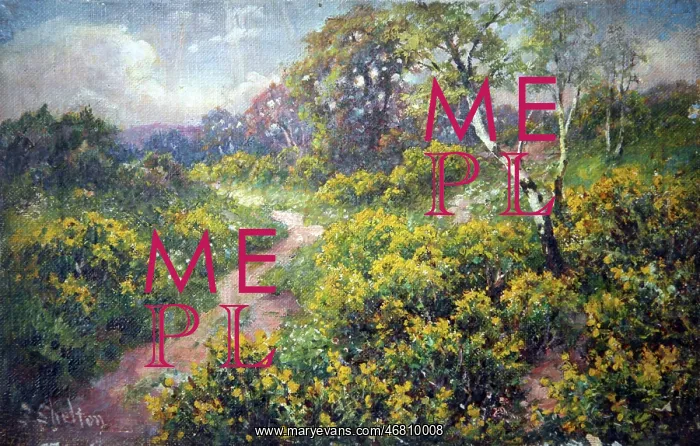  : Woodland path with gorse