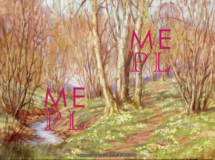  : Woodland with primroses and stream
