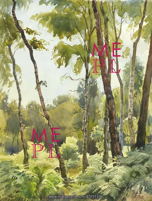  : Woodland scene