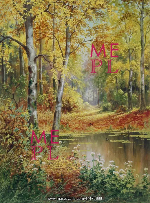 : Woodland Scene in Autumn : Woodland Scene in Autumn