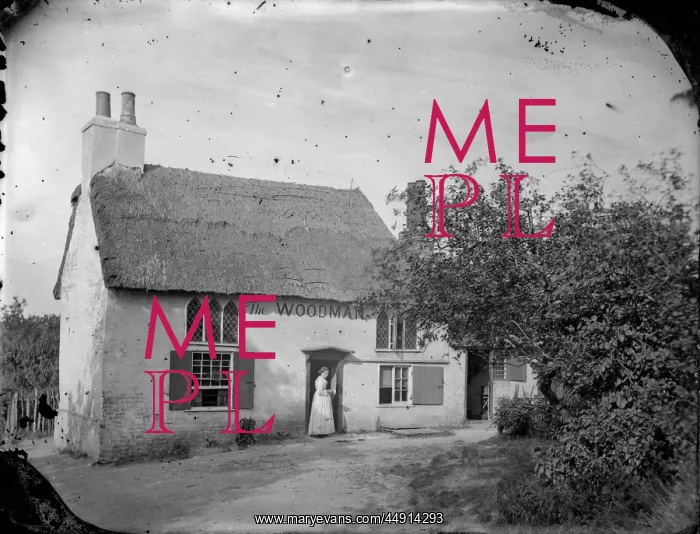 : The Woodman Blackfen(?) : The Woodman Blackfen(?)