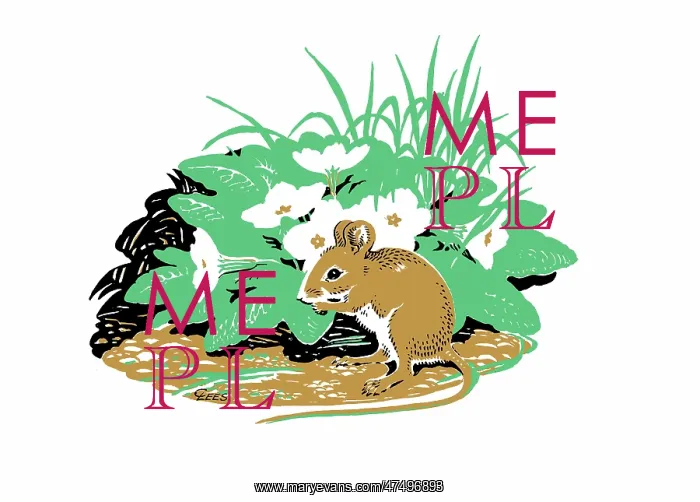 : Woodmouse with primroses ? three-colour line design in black, green and brown