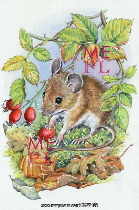 : Woodmouse with hips and autumn leaves